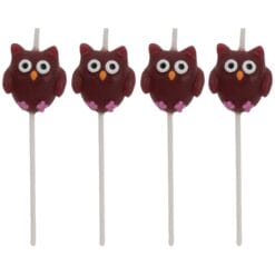 Owl Candle Picks 4CT