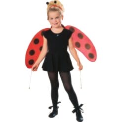Ladybug Accessory Kit Child