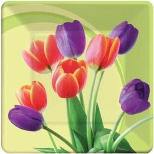 Blooming Tulips Plates Sqr 9&Quot; 8Ct