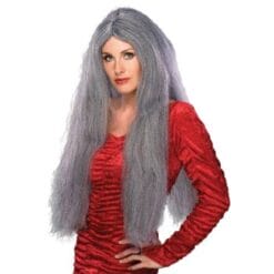 Grey Witch Wig 28" Long