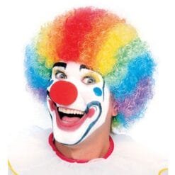 Clown Wig Multi Color Basic