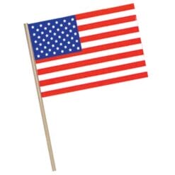 American Flag 4x6 Plastic