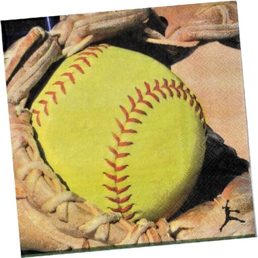 Fastpitch Napkins Lunch 16Ct