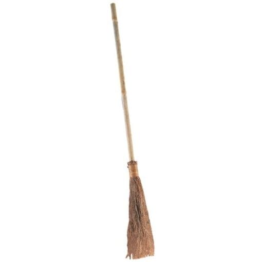 Witch Broom Adult
