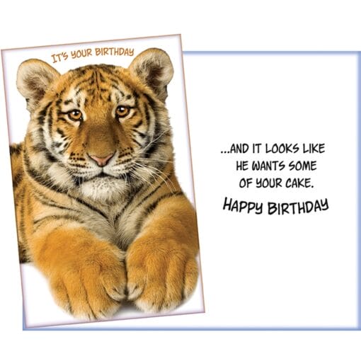 Gc It'S Your Birthday W/Tiger