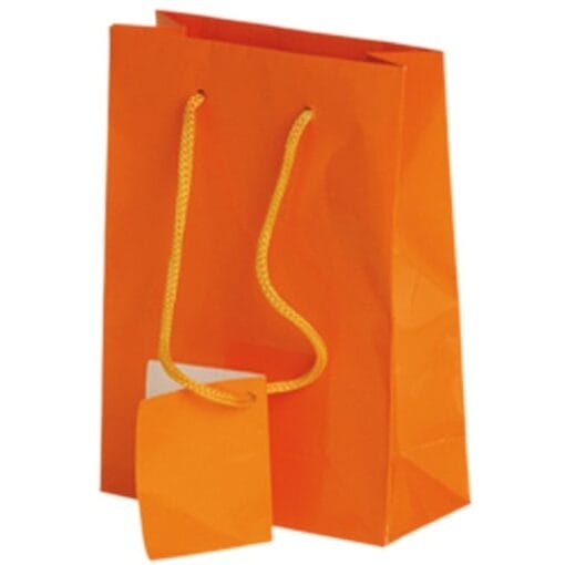 Small Gift Bags Orange
