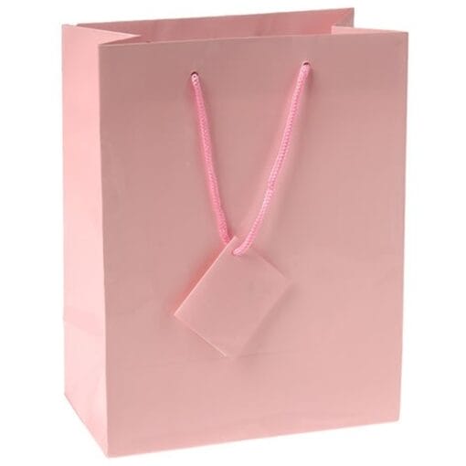 Medium Gift Bags Pink