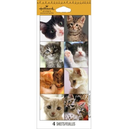 Kitten Photo Stickers 4Sht