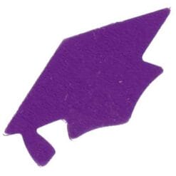 Purple Grad Cap Confetti 1/2oz