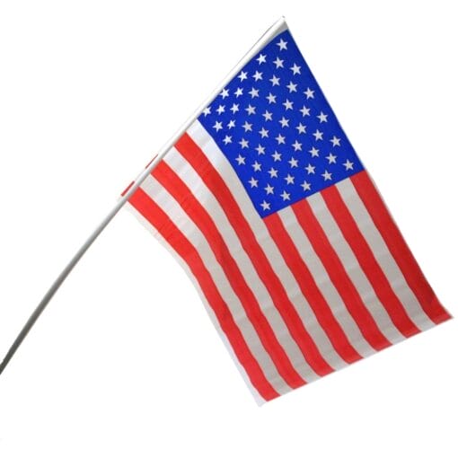 Us Flags 12X18 Plastic 12Ct