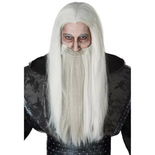 Dark Wizard Long Gray Wig &Amp; Beard Set