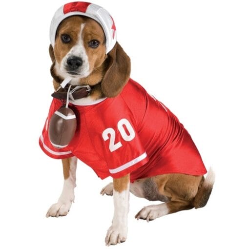 Football Player Pet Costume