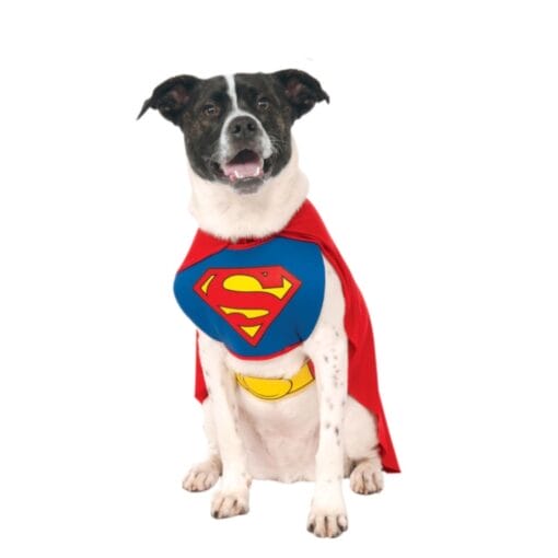 Superman Pet Costume.