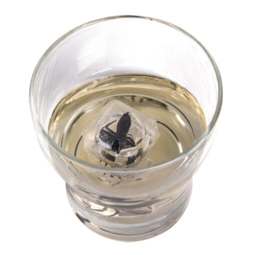 Spider In Fake Ice Cubes 4Pcs