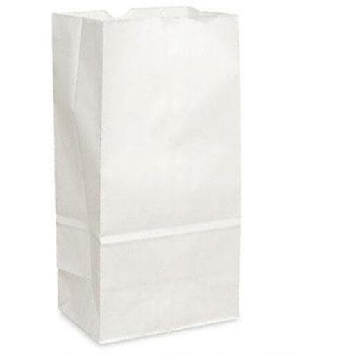 Paper Bags/White