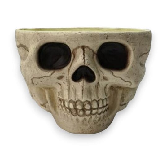 Skull Candy Bowl 9.5&Quot;