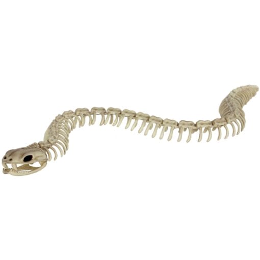 Skeleton Snake 36&Quot;