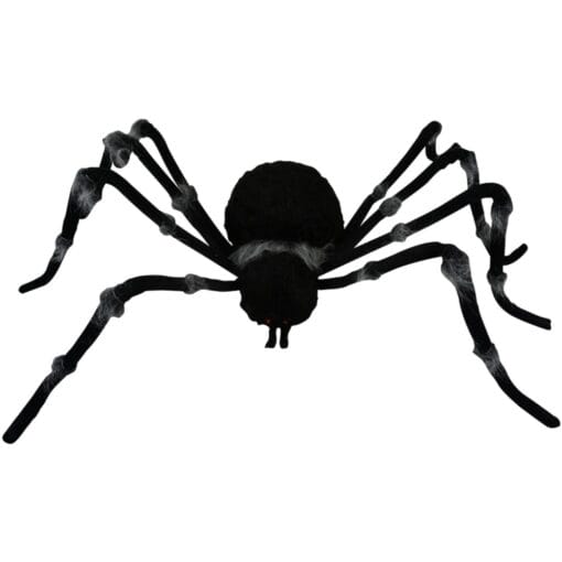 Spider Black W/Grey Trim 73In