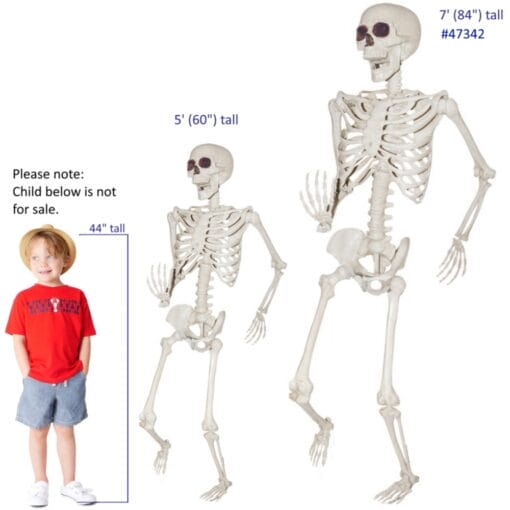 Skeleton Titan 7Ft