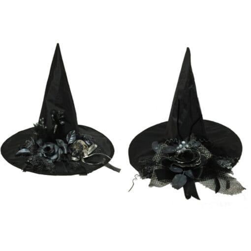 Witch Hat Fancy Astd 17In