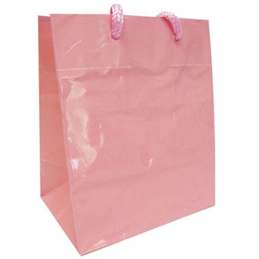 Pastel Pink Giftbag Large Glossy