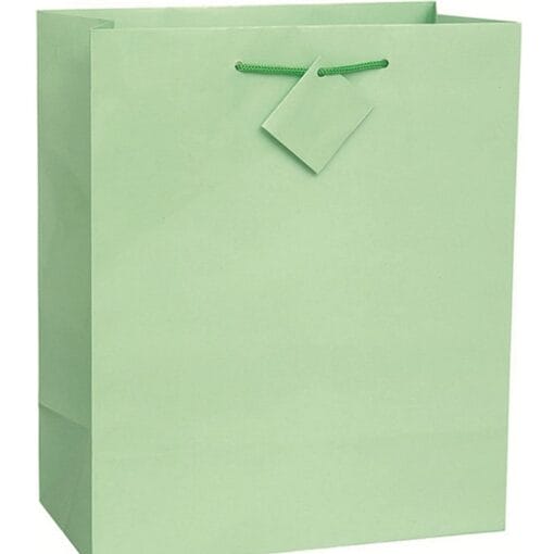 Mint Green Giftbag Large Glossy