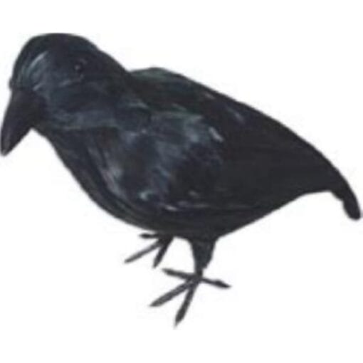 Crow Standing Realistic 12&Quot;