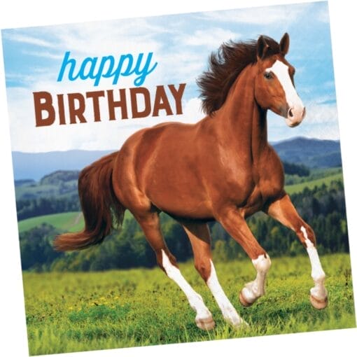 Horse &Amp; Pony Happy Birthday Napkins Lunch 16Ct