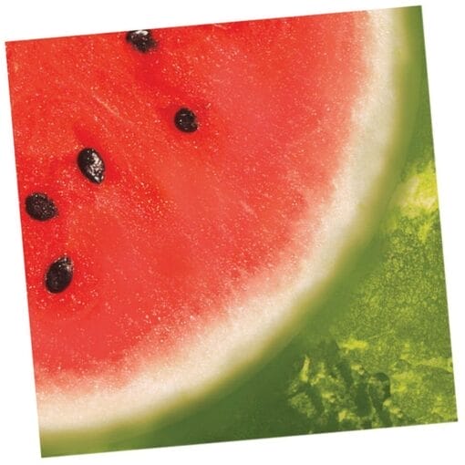 Watermelon Cheer Napkins Lunch 16Ct