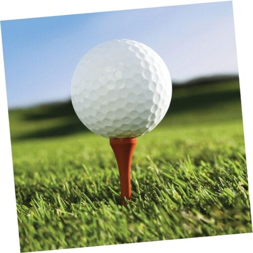 Golf Fanatic Napkins Beverage 18Ct