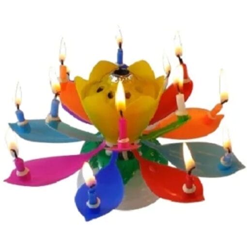 Exciting Candle Rainbow Musical Flower