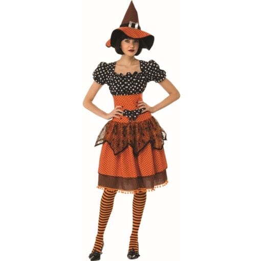 Polka Dot Witch Costume Adult