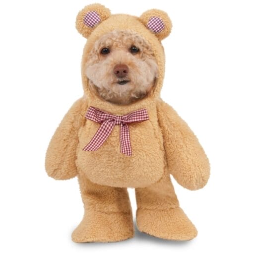 Walking Teddy Bear Pet Costume