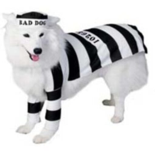 Prisoner Pet Costume