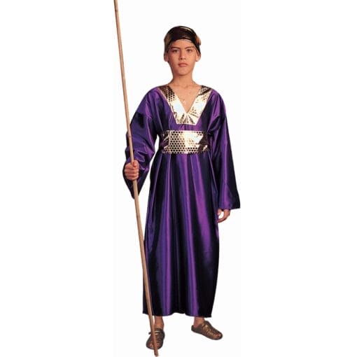 Wiseman Purple Child Costume